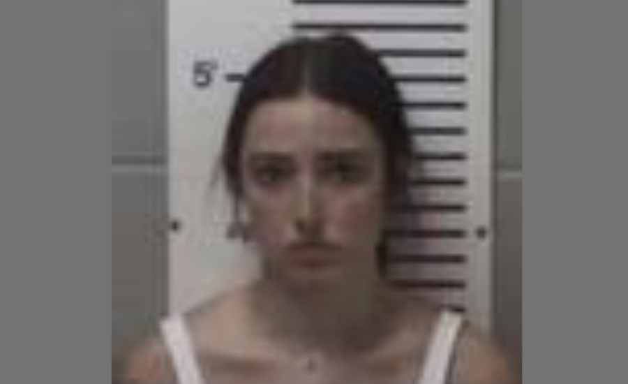 Hailey Zenk's charges