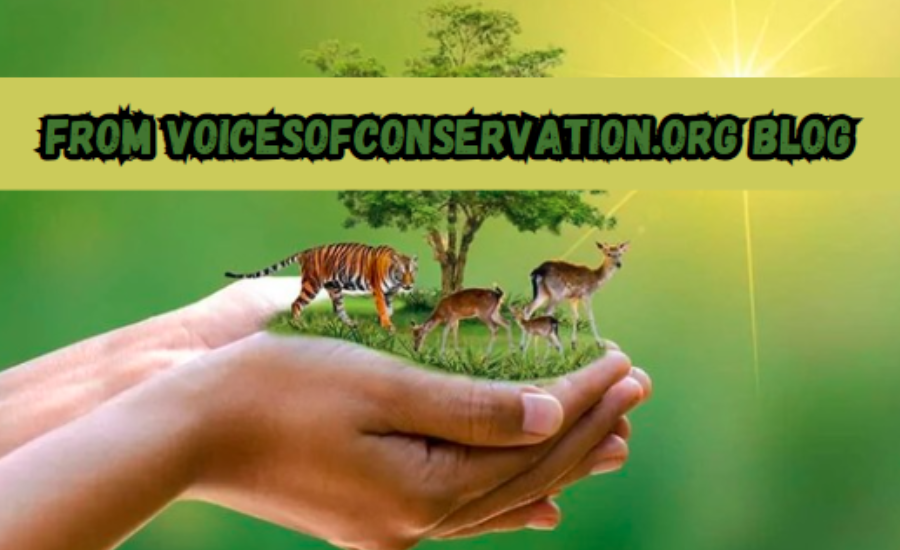 From voicesofconservation.org blog: Your Comprehensive Resource