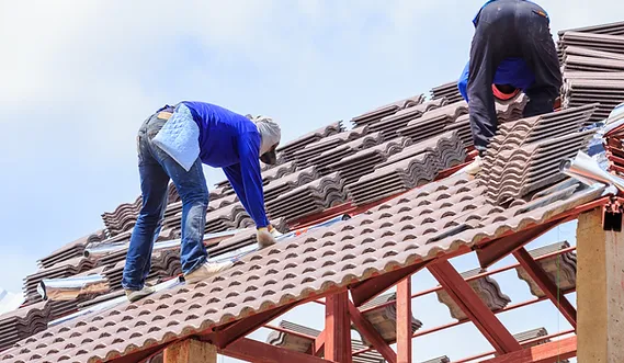 Top Roofing Services in Indianapolis: A Guide to Residential and Commercial Roof Care