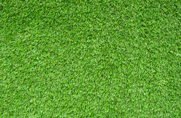 How Long Does Artificial Turf Last in Tampa Bay?