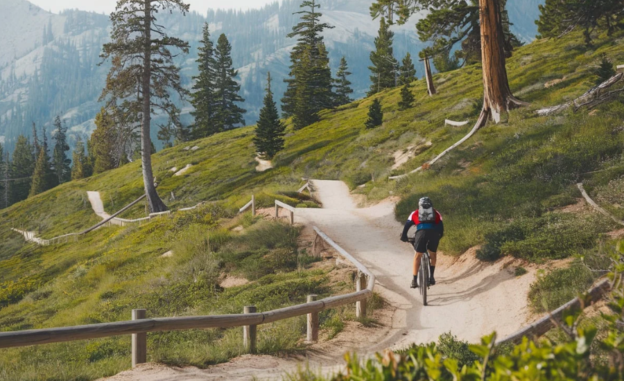 Discovering The Excitement Of The 27E105 Single Track Trail In Mammoth